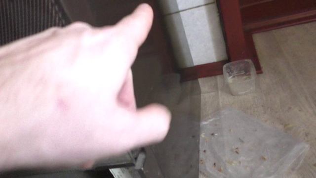 Как узнать год выпуска газовой плиты?