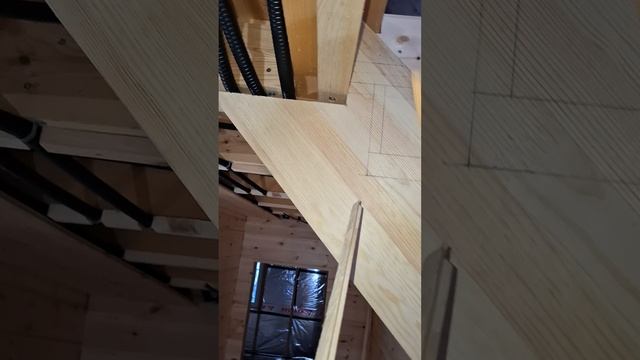 1000047807.mp4 (Собака наблюдает за устройством лестницы на 2 этаж в доме А-фрейм)