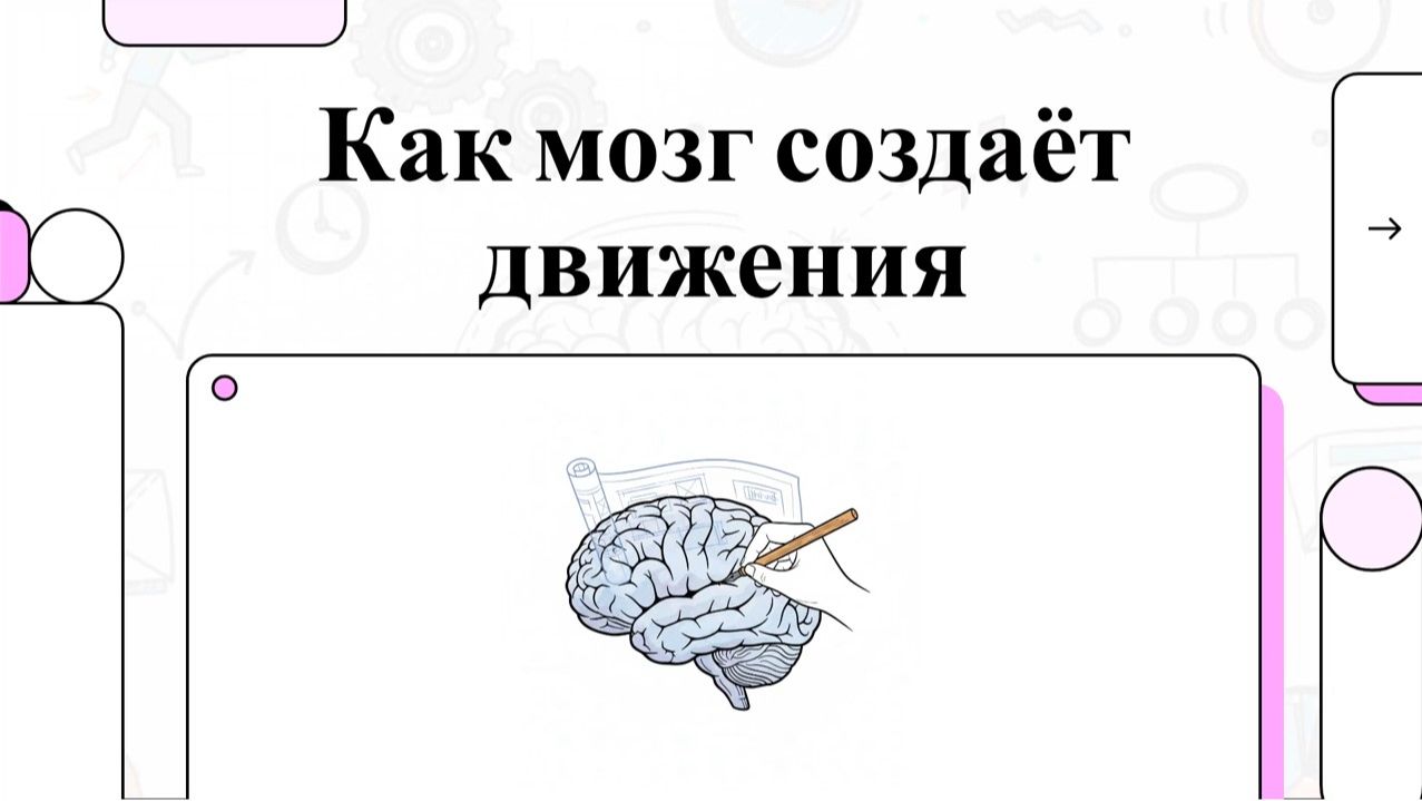 Формирование, использование и координация движений