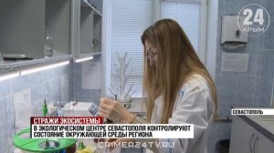На страже экологии: как контролируют безопасность окружающей среды в Севастополе?