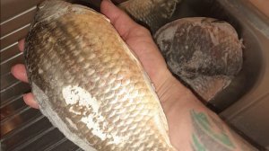 ОХОТА НА КАРАСЯ 05 ФЕВРАЛЯ 2026.