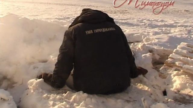 «МИМОХОДОМ», 5 февраля 2010 год. Автор проекта О. Дзиов