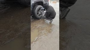 Внимание требуют не только животные, но и машина