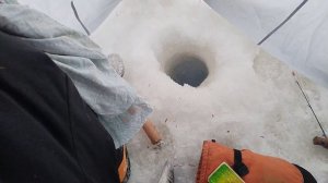 Окунь на мормышку р.Свирь