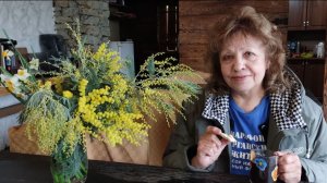 Край, где распускается мимоза, день 7 /Дрова и мимоза