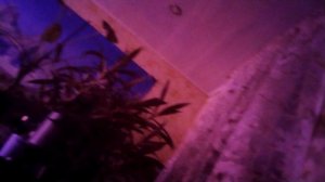 Я СКАЗАЛА ПОДПИШИСЬ