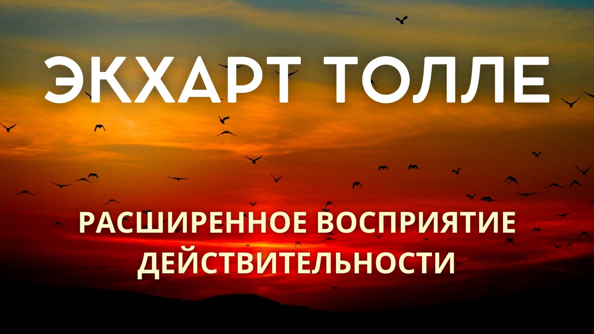 Расширенное восприятие — это просто быть здесь. Экхарт Толле