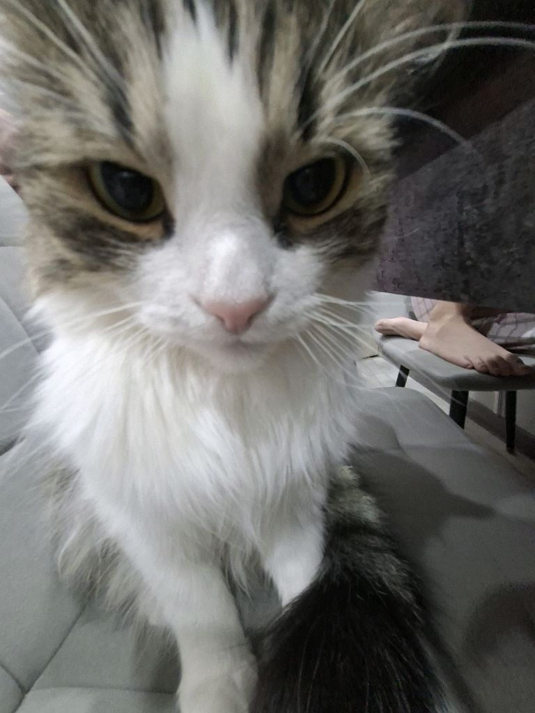 хелп смотреть онлайн