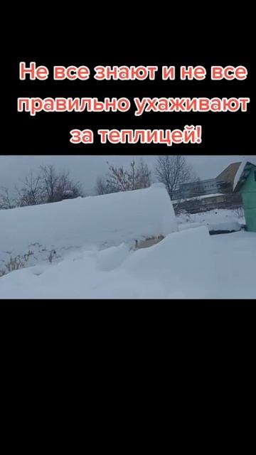 Уход за теплицей зимой