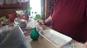 /133/Нажарила чебуреки.Посеяла перцы.