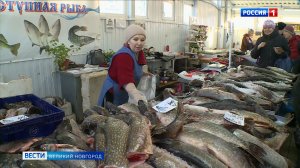 ГТРК СЛАВИЯ Доступная рыба 04.02.26