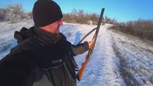 Охота на зайца. ЗАЙЦА ОЧЕНЬ МНОГО. СОБАКА РАБОТАЕТ, ТОЗ - 34 ВАЛИТ НА ПОВАЛ.