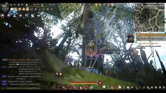 Black Desert на Альт Линукс — Академия Оливии