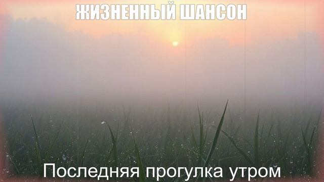 ПЕСНИ ДЛЯ ДУШИ|Последняя прогулка утром|ЖИЗНЕННЫЙ ШАНСОН