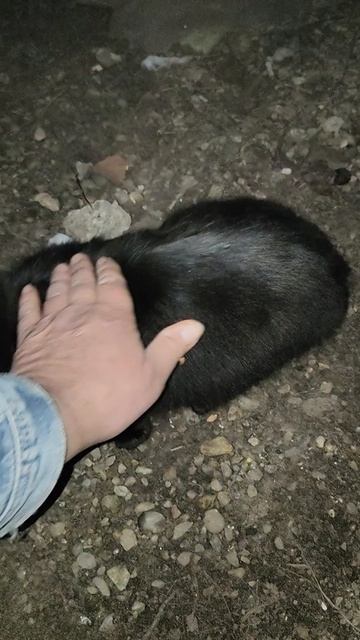 Когда есть помощь волшебников — это замечательно!