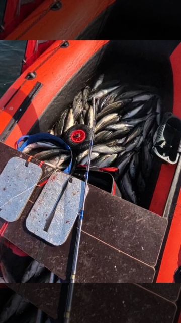 Промысел удался Баренцево море