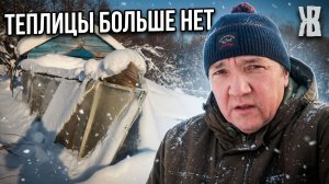 СНЕГОМ СНЕСЛО ТЕПЛИЦУ!  отчёт о дне, когда всё пошло не так. ЖКВ Саморучк