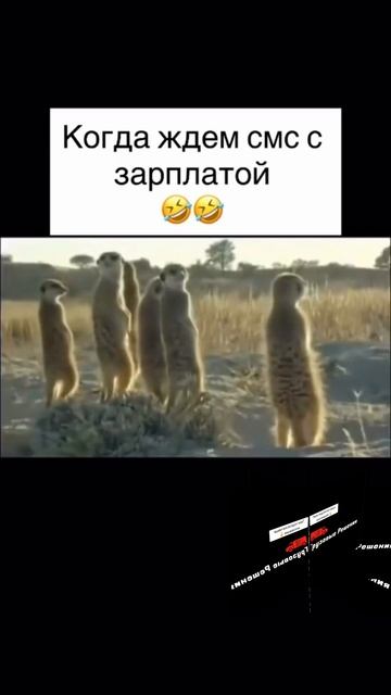 В ожидании 😄 #грузовыерешения #грузовыеперевозки #логистика #дальнобой В ожидании 😄 #грузовыерешения #грузовыеперевозки #логистика #дальнобой