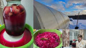 Уборка снега ,новая капуста ,заготовки из подвала.
