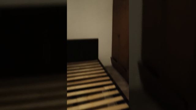 1000005183.mp4 смотреть онлайн