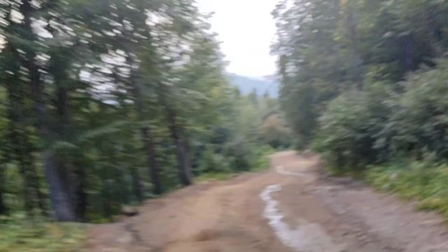 Возвращение с экскурсии в Долину 7 озёр. 10.08.2024. Абхазия.