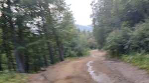 Возвращение с экскурсии в Долину 7 озёр. 10.08.2024. Абхазия.