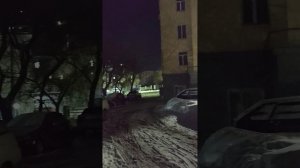 Блог идеальной соседки)) История нашего дома и переезда. Выгул спаниеля. Сталинские дома в центре.