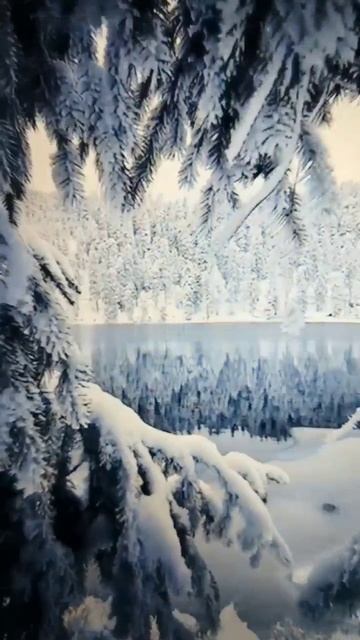 В. Высоцкий . Белое безмолвие. Читает Резникова. Ю.