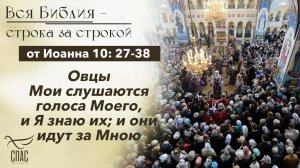 Евангелие от Иоанна10: 27-38 / Вся Библия строка за строкой
