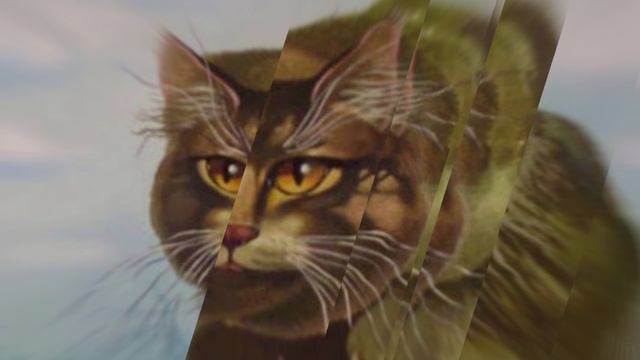 Кот Баюн-музыкант от бога