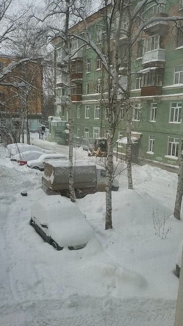 №1215	Двор П. Осипенко 48. 26 декабря 2025 г., 14:00:35 VID_20251226_135916179