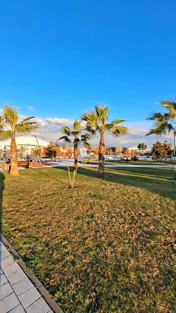 Сочи 🌴✨🌎 Парк ВК Стор