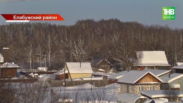 Самовыгул закончился ЧС: в Елабуге — первый случай бешенства в году смотреть онлайн