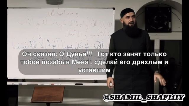 Не привязывайся к дунья. Шейх Шамиль аш-Шафи’ий.