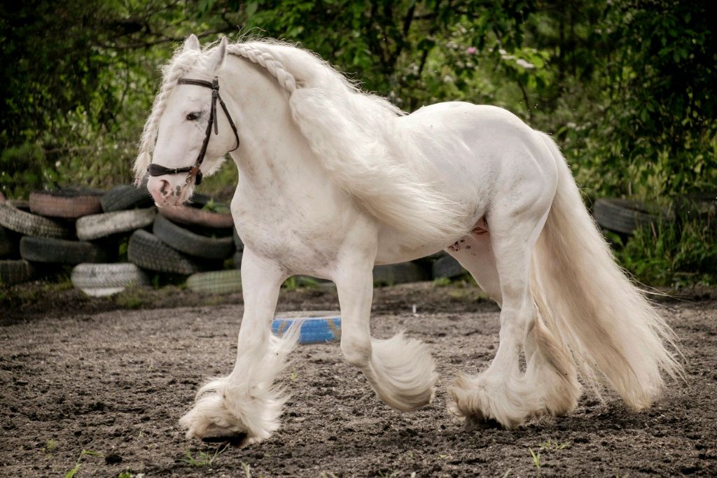 едем во время школы