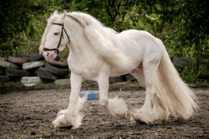 едем во время школы