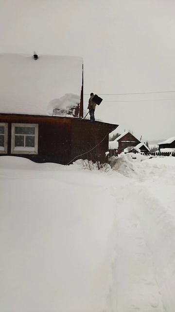 Снег ⛄🏂❄валит и валит 😜😜😜#снег #снегвесной #зима #валорант #сад #забор #теплица #cat #веселыекот