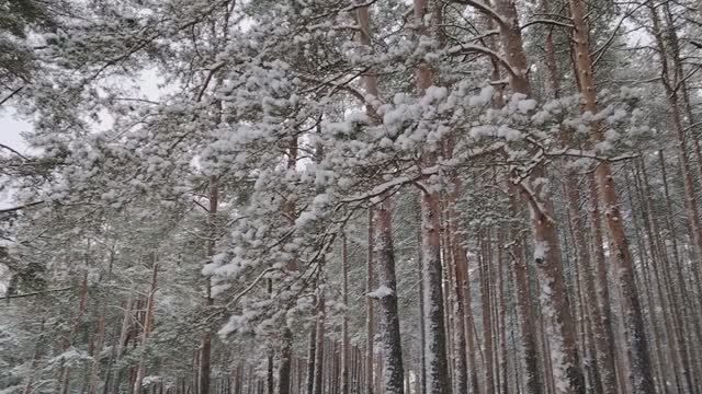 Работа по найму - это аренда наших способностей. Самостоятельное планирование. И другое смотреть онлайн