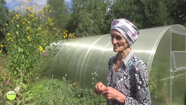 «Живите на земле!»Родовое поместье Н.П.Степановой. ч.3. ПРП Ковчег