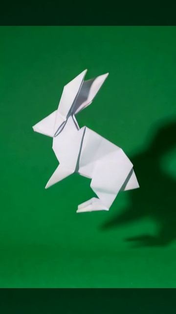 зайка смотреть онлайн