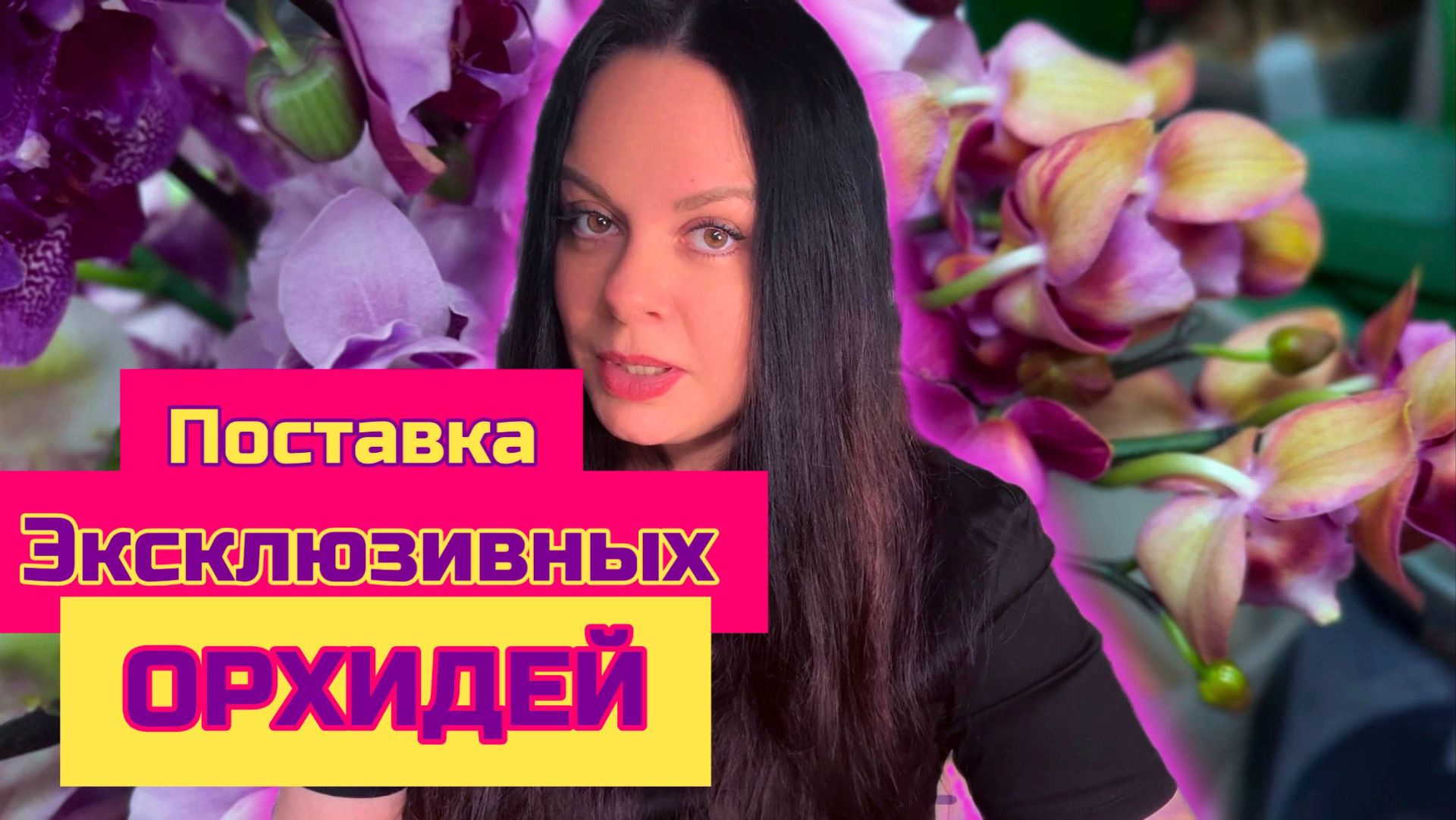 Обзор поставки орхидей фаленопсис, ОрхоМир Питер смотреть онлайн
