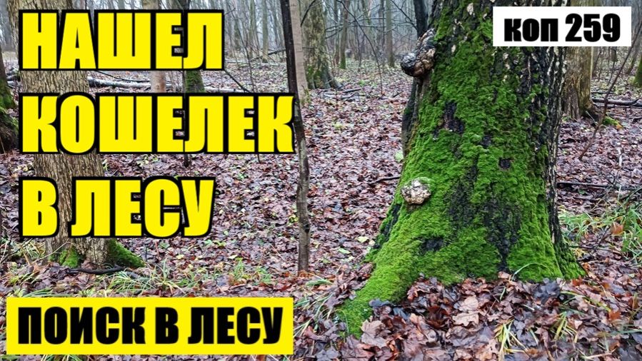 СТОЛЬКО МОНЕТ И ВСЕ В ОДНОМ МЕСТЕ. коп 259 смотреть онлайн