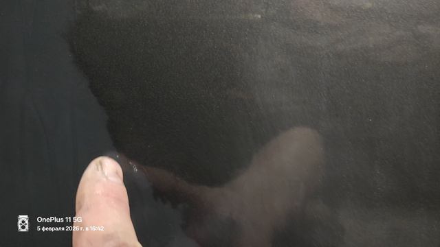 Подготовка детали авто перед окрасом  или как правильно зачистить грунт перед окрасом