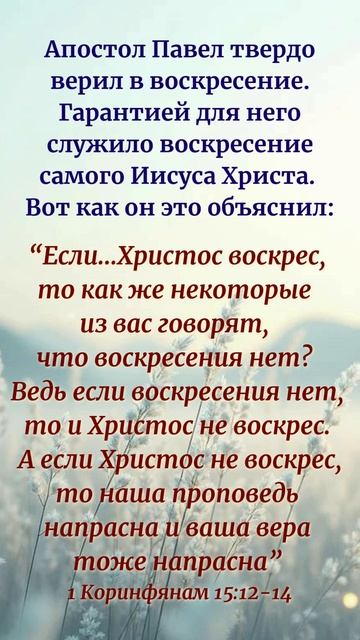 VID_20260205_210607_615.mp4