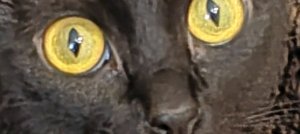 готовлюсь ко сну