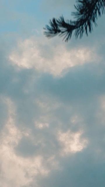 Море любую хворь вылечит…🌊