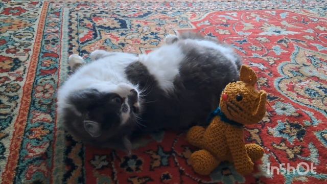 » Ах, вот ты какой, Барсик вязаный!».