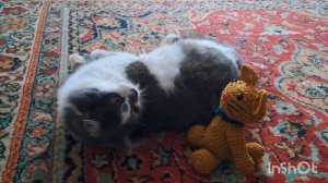 " Ах, вот ты какой, Барсик вязаный!".