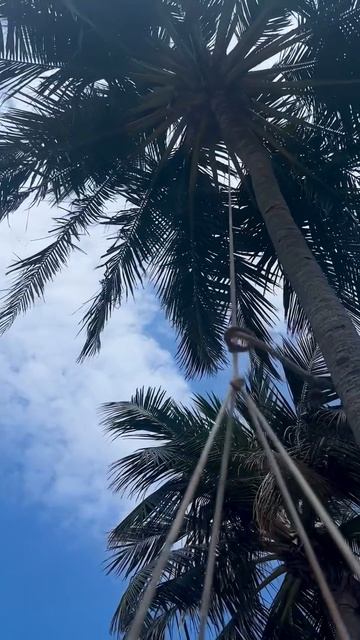 Мальдивы 🇲🇻