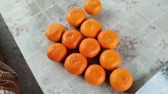 Мандарины в феврале